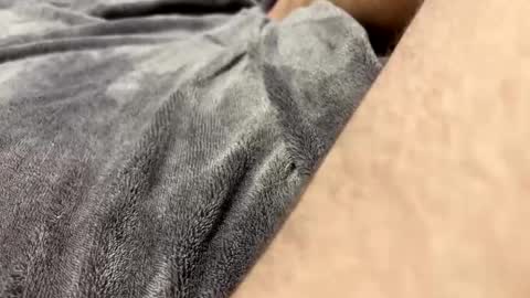 homehard69 online show from May 31, 10:00 pm