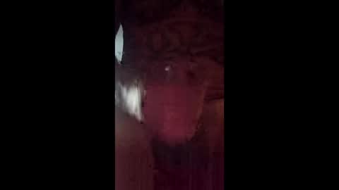 hondzsolo online show from May 29, 11:53 am