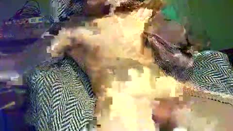 hornycocxxx online show from March 9, 1:14 am