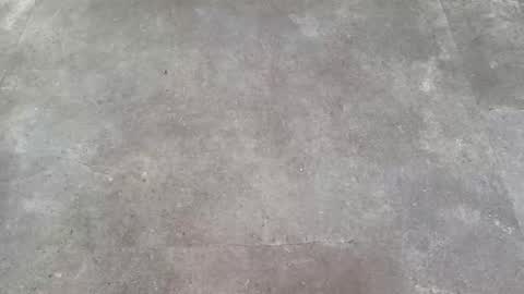 Hot Dutchie online show from January 8, 12:15 pm