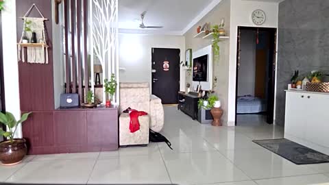 hotm_on_cam online show from September 18, 9:11 am