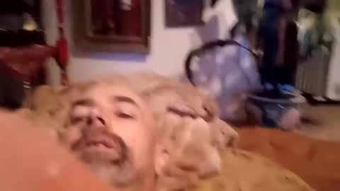 houndmefromhell online show from February 18, 4:05 pm