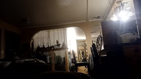 houndmefromhell online show from February 26, 10:48 am