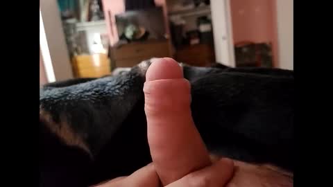 hourpower420 online show from December 27, 5:16 pm