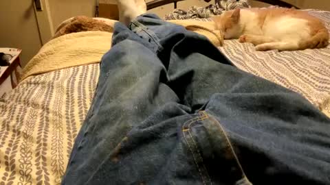 huckleberry22222 online show from September 14, 2:41 pm