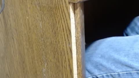 hungsofine online show from January 14, 7:53 pm