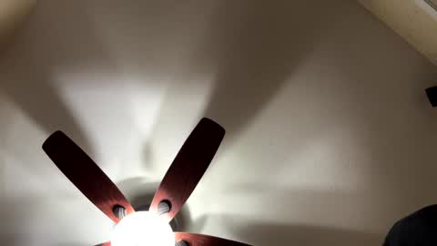 huskey300 online show from December 25, 6:41 am