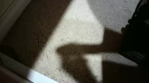 Hypeman online show from February 27, 10:09 pm