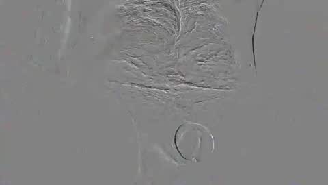 Pat online show from February 21, 2:12 am