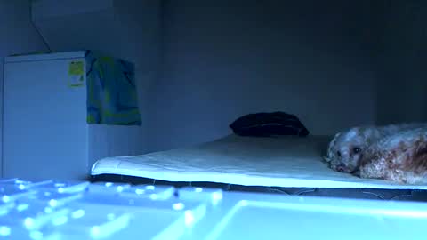 Snapshot of ian_zaenzz chatting on October 21, 8:01 pm Samuel igsamuelnoguera 1333 online show from October 21, 8:01 pm