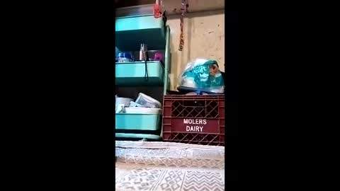 ieatpussy1972 online show from February 6, 6:49 pm