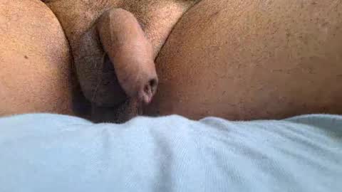 ikbenzo online show from February 9, 11:36 am