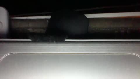 iloveitall86 online show from February 22, 12:50 pm