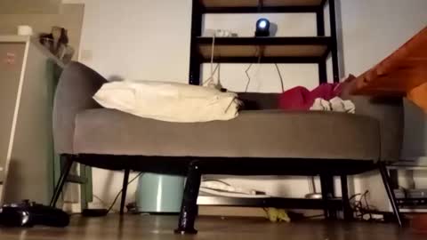 iron_cock40 online show from April 24, 10:01 pm