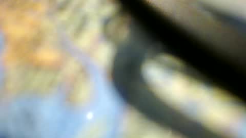 ironmike6969 online show from May 17, 6:15 pm