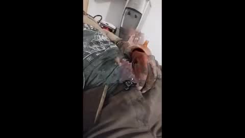 Aiv online show from March 3, 11:06 am