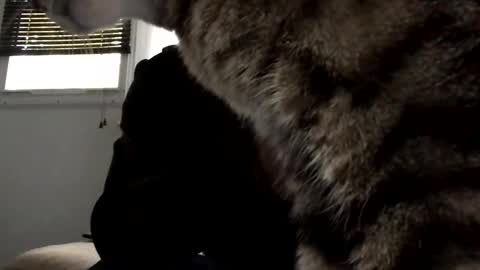 Jacob online show from November 1, 8:57 pm