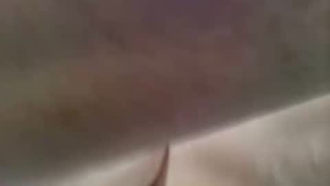 Jaks online show from March 11, 9:02 am