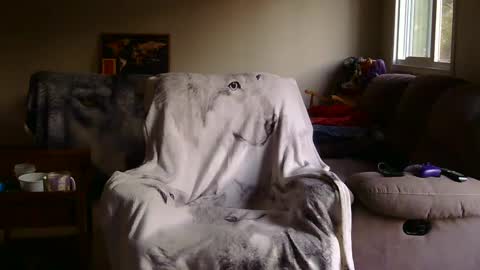 jameswolf777 online show from September 10, 1:48 am