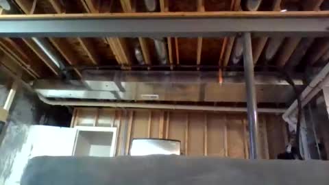 jamie19905 online show from December 23, 4:10 am