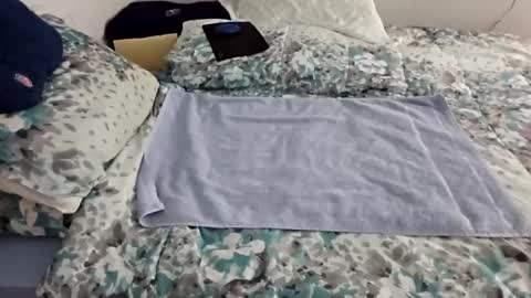 JasMarks online show from January 6, 2:58 pm