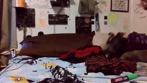 jaxxx666 online show from October 17, 1:26 pm