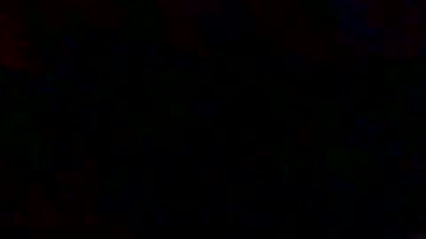 JoeEBear online show from April 21, 7:31 pm