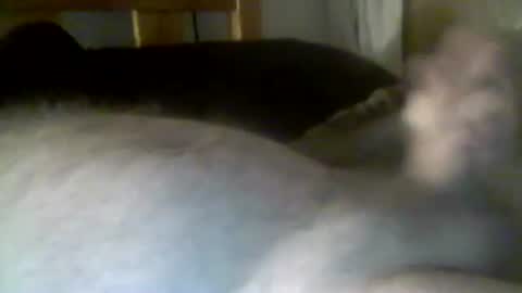 jerkmate6666 online show from January 6, 2:58 am