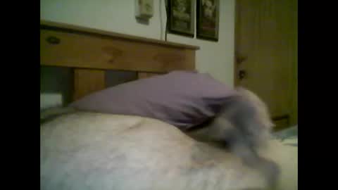 jerkmate6666 online show from October 14, 2:40 am