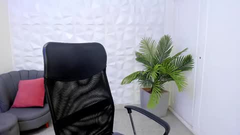 John Bear.... online show from February 19, 11:28 am