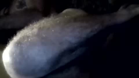 jjohnathan529 online show from March 23, 9:15 am