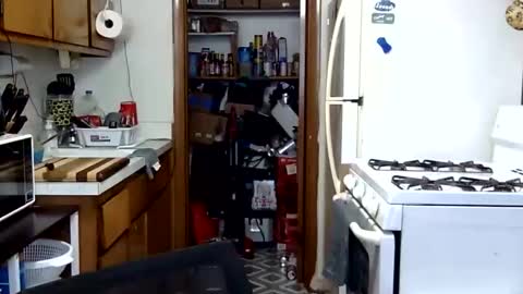 johnnytwain online show from February 2, 8:06 pm