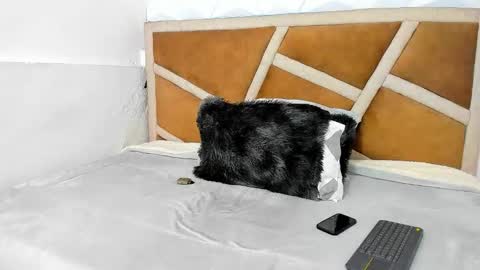 julian online show from November 15, 4:53 pm