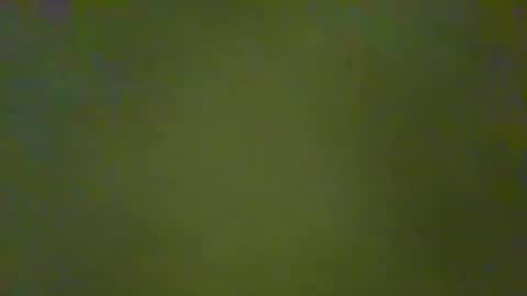 McKeefer online show from January 23, 5:10 pm