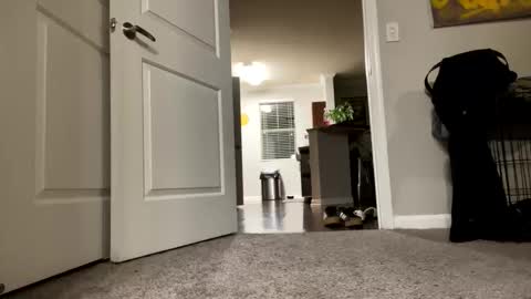 JustinCase online show from May 21, 7:04 am