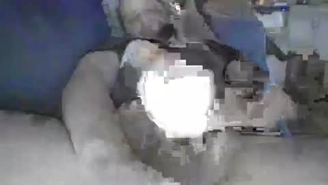 Snapshot of justright1 chatting on January 4, 6:19 pm justright1 online show from January 4, 6:19 pm