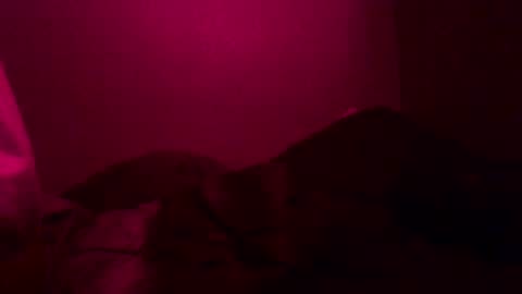 Snapshot of justsomenegus chatting on December 26, 12:38 pm Call me Just online show from December 26, 12:38 pm