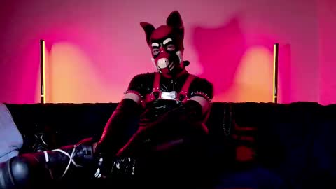 Alex online show from February 25, 7:48 pm