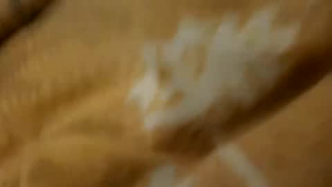 kefta11 online show from February 24, 4:35 am