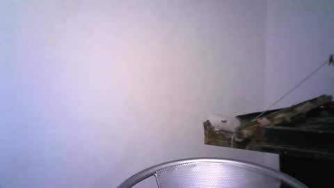 keny06 online show from February 12, 3:51 am