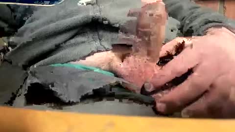 kevindldl online show from March 23, 10:32 am