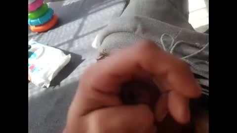 Diego online show from October 5, 11:36 am