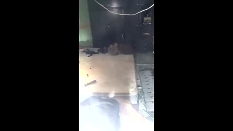 labestiareconoseme44420 online show from March 16, 5:44 am