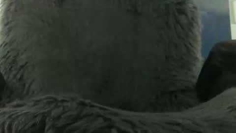 leckfreund53 online show from October 7, 9:35 am