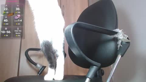 iam leonal online show from November 13, 7:29 pm