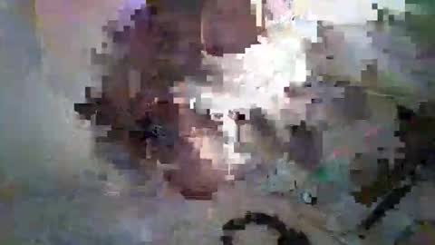 Litz online show from February 15, 11:51 am