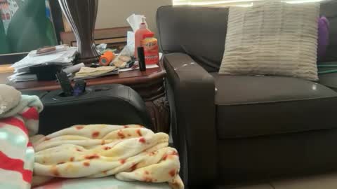 logical12345 online show from November 18, 10:12 pm