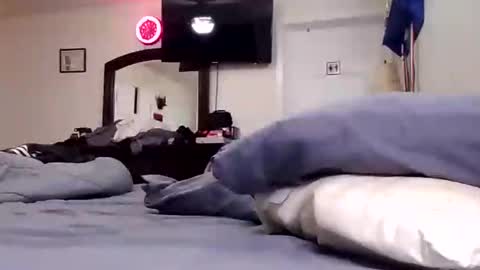 lookatmecum4you online show from September 18, 11:56 am