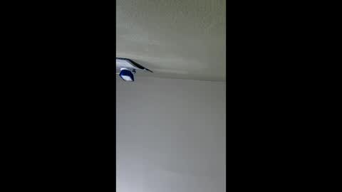 2791 3D online show from January 8, 5:01 am