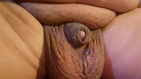 2791 3D online show from April 11, 8:07 am